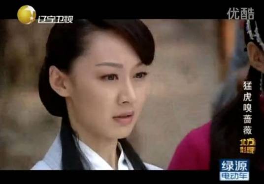 猛虎嗅蔷薇（2012年电影作品）