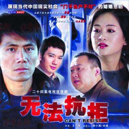 无法抗拒（2007年王小康执导的都市爱情电视剧）