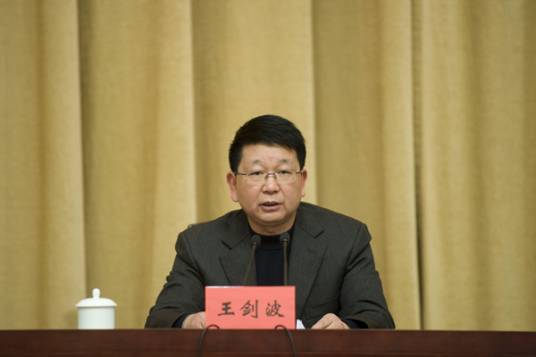 王剑波（第四军医大学主任药师）