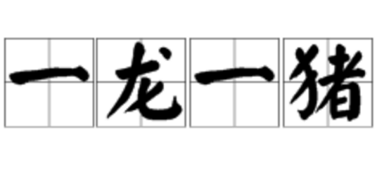 一龙一猪