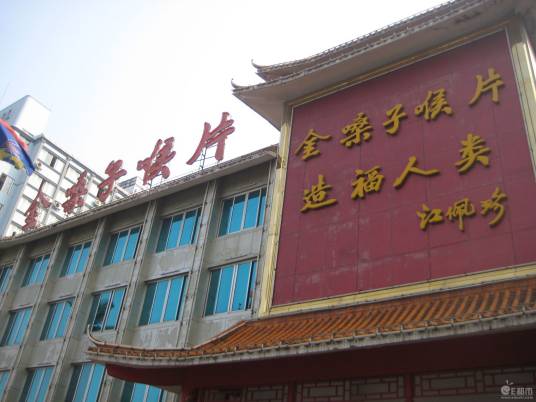 广西金嗓子有限责任公司