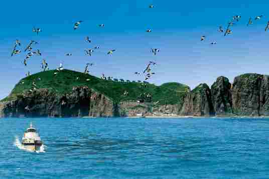 海驴岛（山东地名）