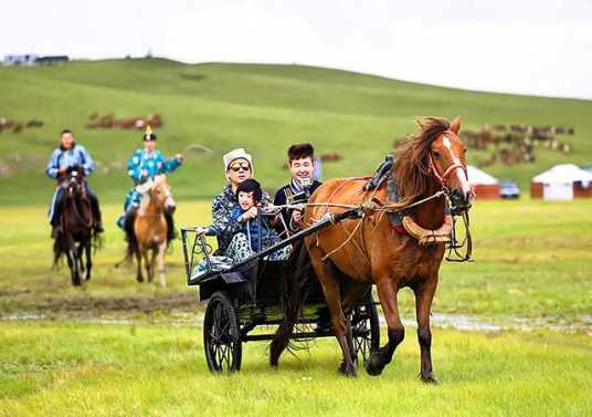 伊利·呼伦贝尔牧场