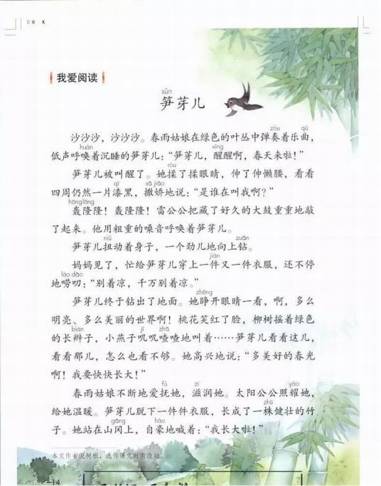 笋芽儿（倪树根所作童话，人教版小学语文课文）