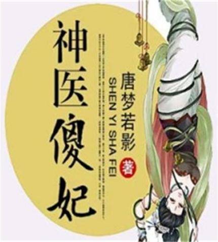 神医傻妃