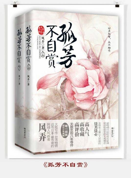 孤芳不自赏（2016年百花洲文艺出版社出版的图书）