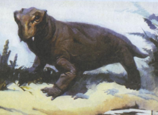 水龙兽（水龙兽科水龙兽属下的一种动物）