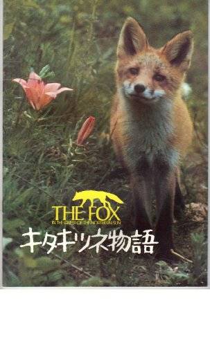 狐狸的故事(日本2012年藏原惟善执导的记录片)