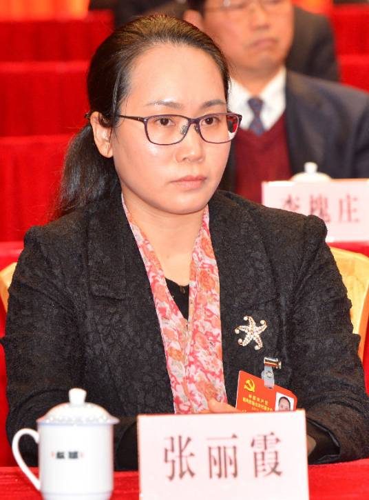 张丽霞(嘉应学院党委委员、副院长)