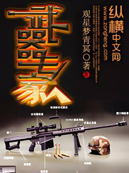 武器专家（观星梦青冥所著小说）