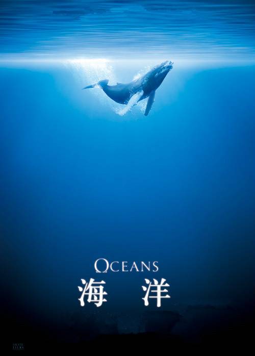 海洋保护（海洋环保领域专业名词）