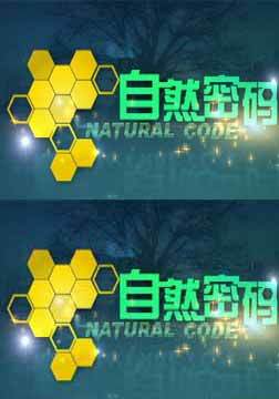 自然密码（云南卫视栏目）