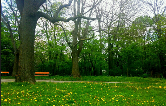 维也纳森林(奥地利维也纳市内景点)