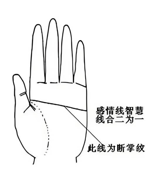 断掌纹
