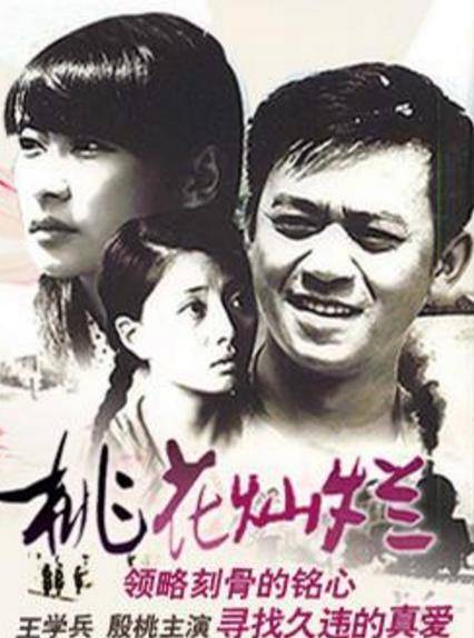 桃花灿烂(2007年方刚亮执导电视剧)