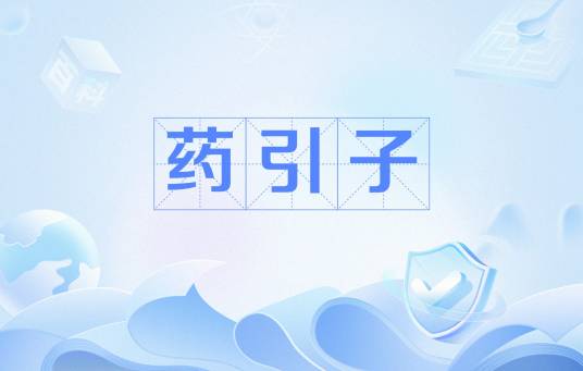 药引子