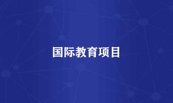 国际教育项目