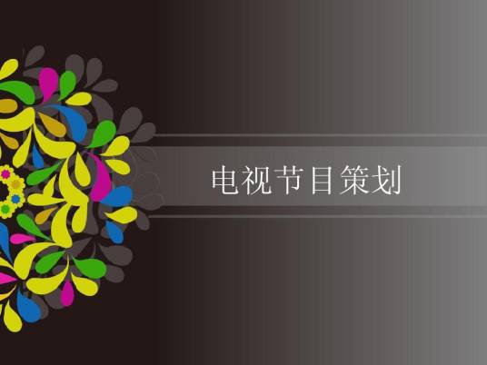 电视节目策划(运用脑力的理性行为)