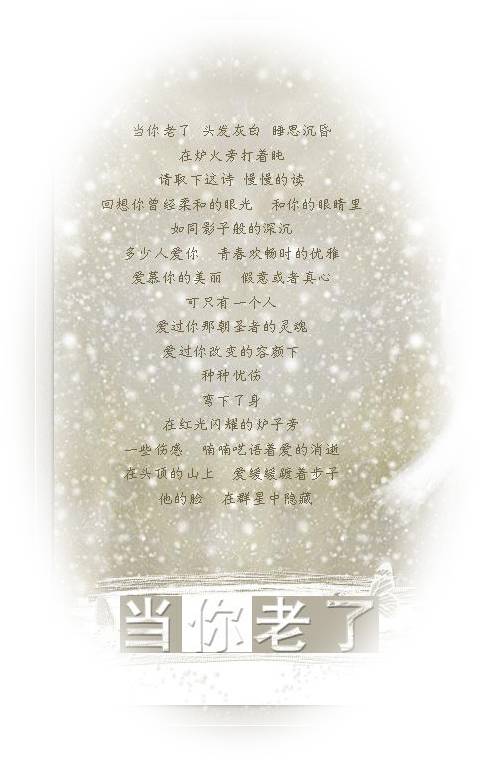 当你老了(爱尔兰诗人威廉·巴特勒·叶芝创作的诗歌)