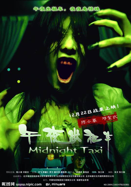 午夜出租车(2009年张江南执导电影)