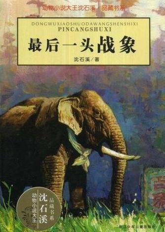 最后一头战象(2008年浙江少年儿童出版社出版的图书)