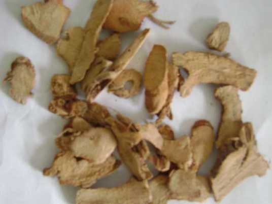 三叉苦（中药）