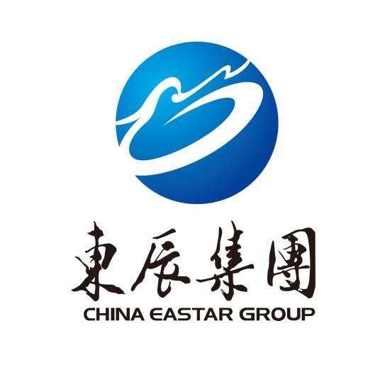 东辰控股集团有限公司