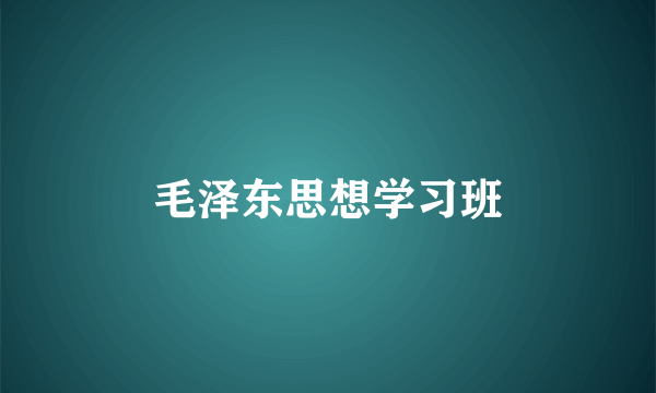 毛泽东思想学习班