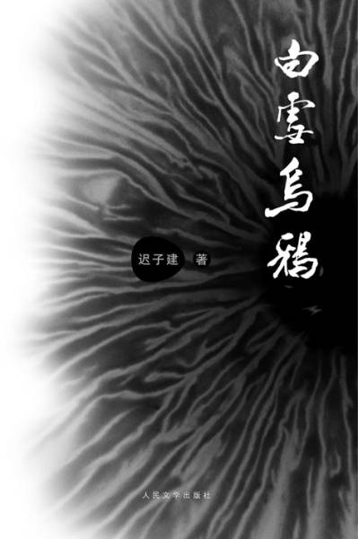 白雪乌鸦(以东北鼠疫为背景迟子建2009年创作长篇小说)