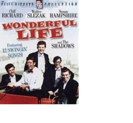 精彩生活(Sidney J. Furie执导电影)