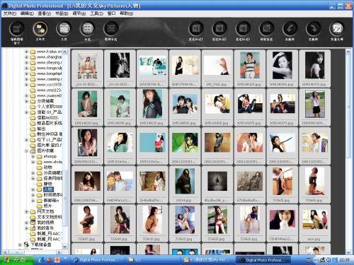 Digital Photo Professionl