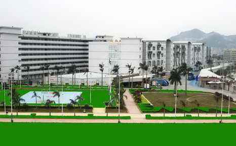 维珍妮国际有限公司