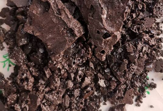 干漆(漆树科漆属植物)