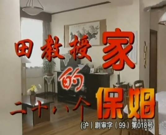 田教授家的二十八个保姆