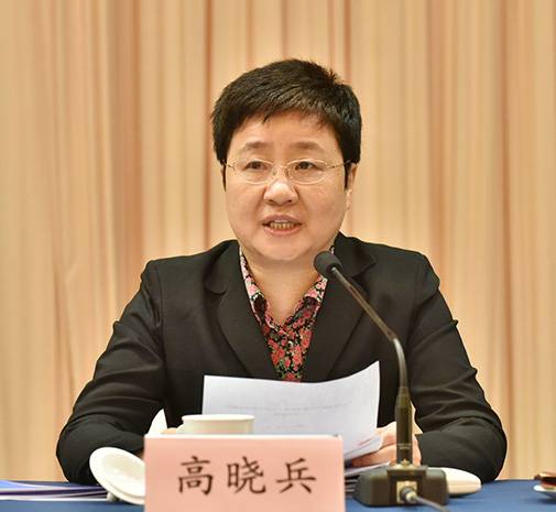 高晓兵(中华人民共和国民政部原副部长)