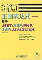 精通正则表达式