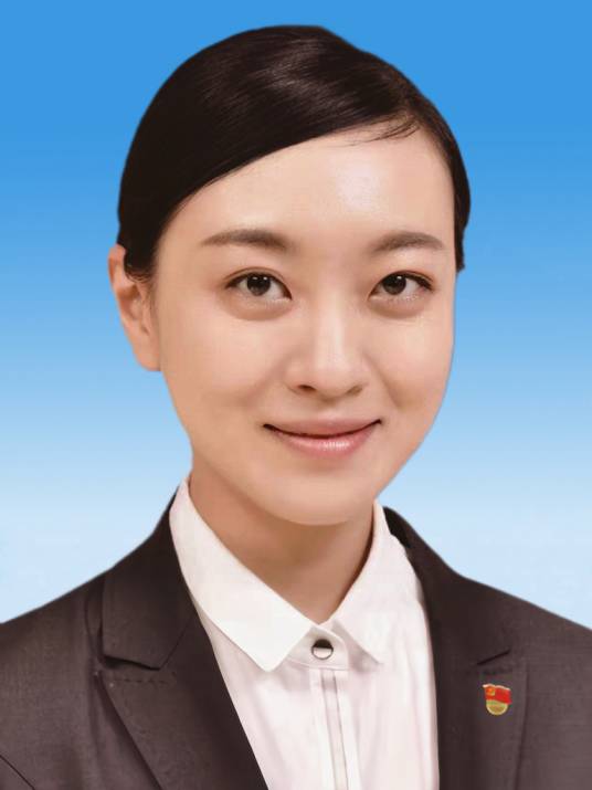 张琪（河北省怀来县委副书记、县长、县政府党组书记）