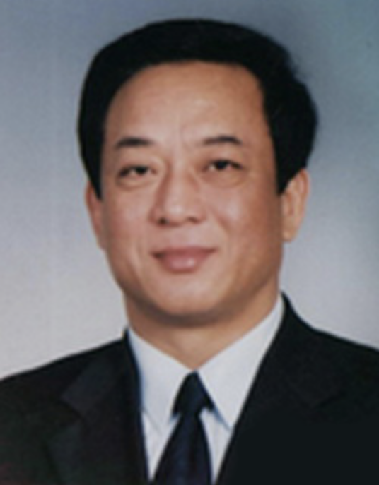 石军(全国政协参政议政特聘专家、第十二届全国政协经济委员会副主任)