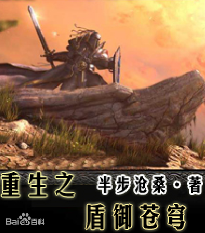 重生之盾御苍穹