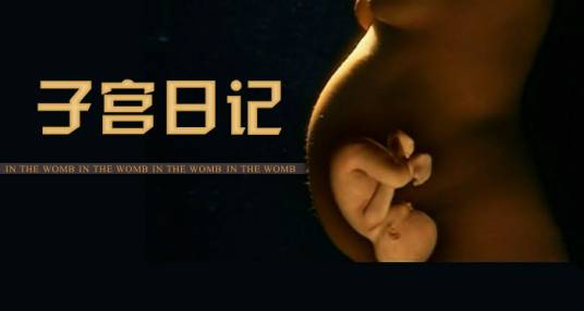 子宫日记（2005年国家地理频道、CCTV-9播出的影片）