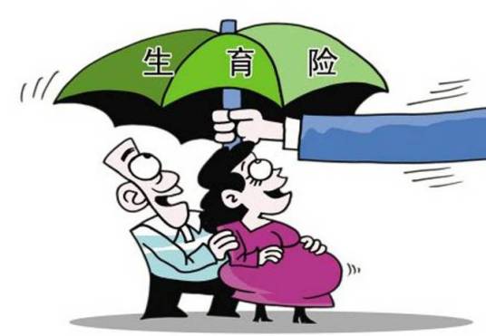 生育保险基金