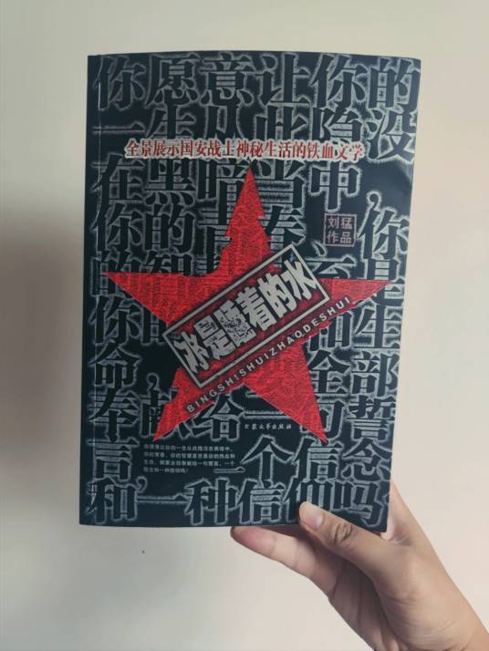 冰是睡着的水（2005年刘猛创作的小说）