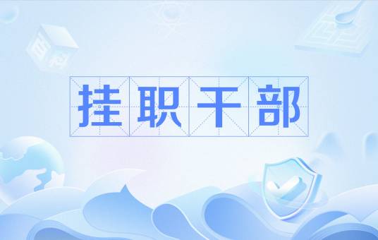 挂职干部(政治名词)