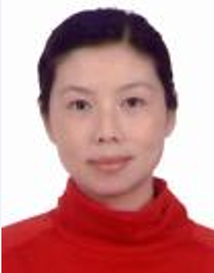 蒋雯（西北工业大学教授）