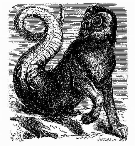 阿蒙(所罗门七十二柱魔神之一)