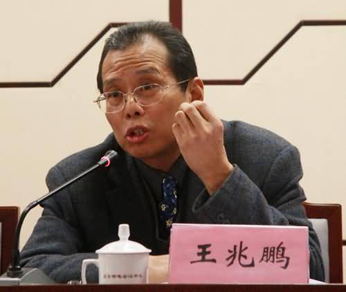 王兆鹏(中南民族大学教授)