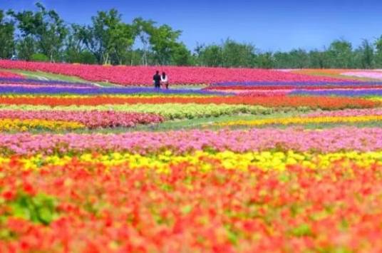周浦花海生态园