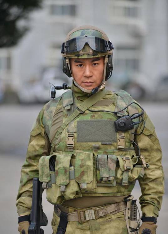 雷战(电视剧《特种兵之火凤凰》中的男主角)