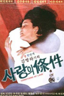 爱情的条件(金洙容执导电影)