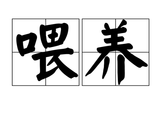 喂养（汉语词语）